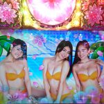 スーパー海物語IN沖縄４ 桜バージョン
